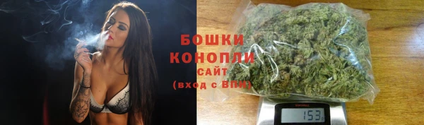 дживик Осташков