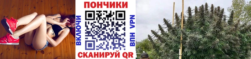 Конопля White Widow  Купить где  Нальчик 